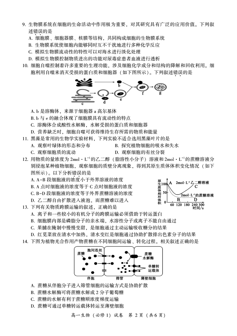 2022年福建省泉州市永春华侨中学高一年寒假测试生物试卷_第2页