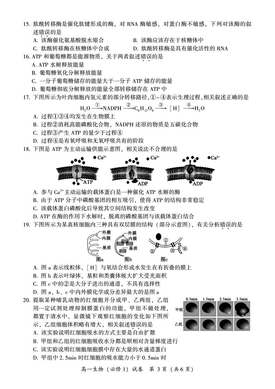 2022年福建省泉州市永春华侨中学高一年寒假测试生物试卷_第3页