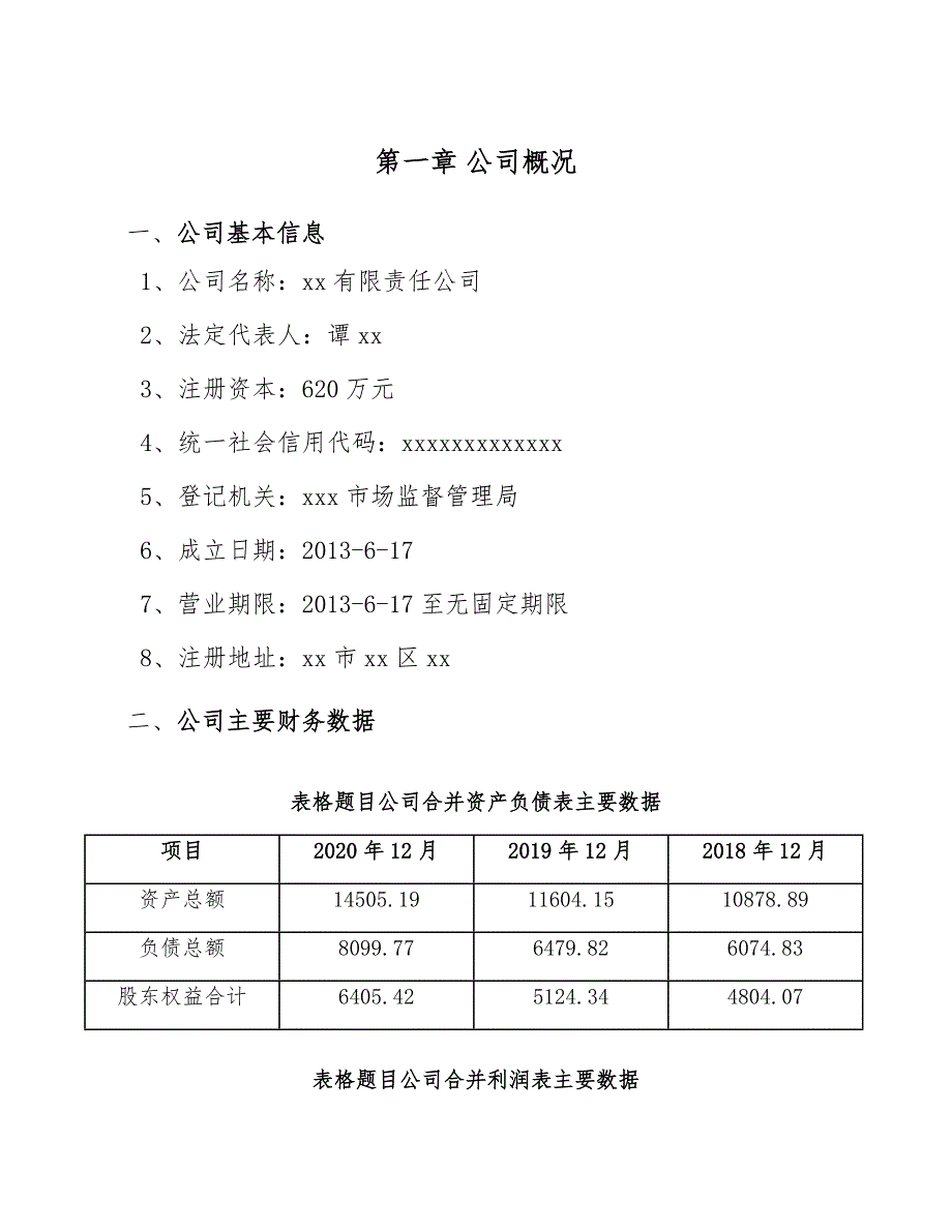 皮卡项目工程组织计划手册范文_第4页