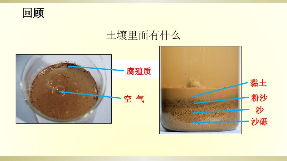 小学科学教科版四年级下册第三单元第7课《比较不同的土壤》课件6（2021新版）_第2页