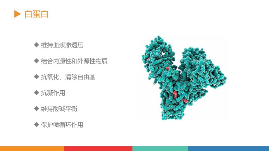 低蛋白血症及其治疗_第3页