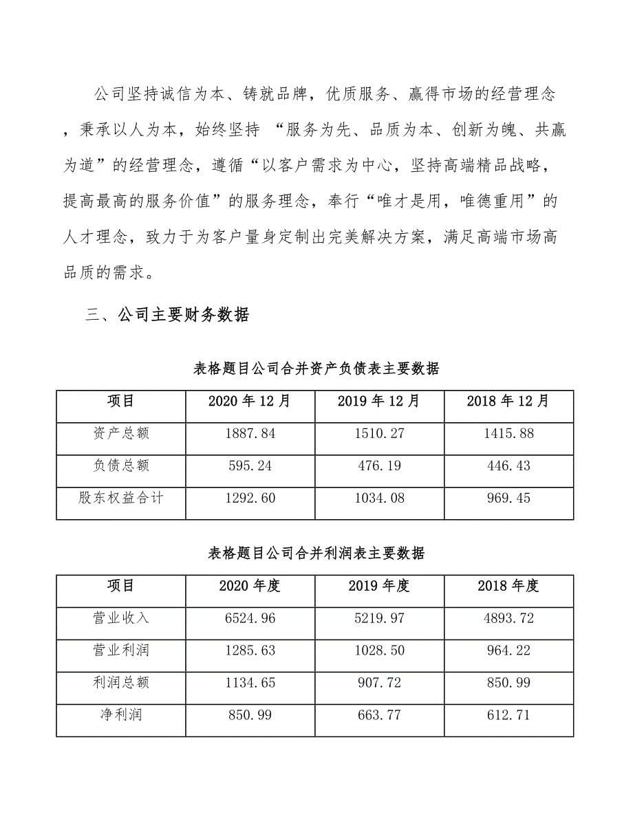 UTG公司建筑建设运营方案模板_第5页