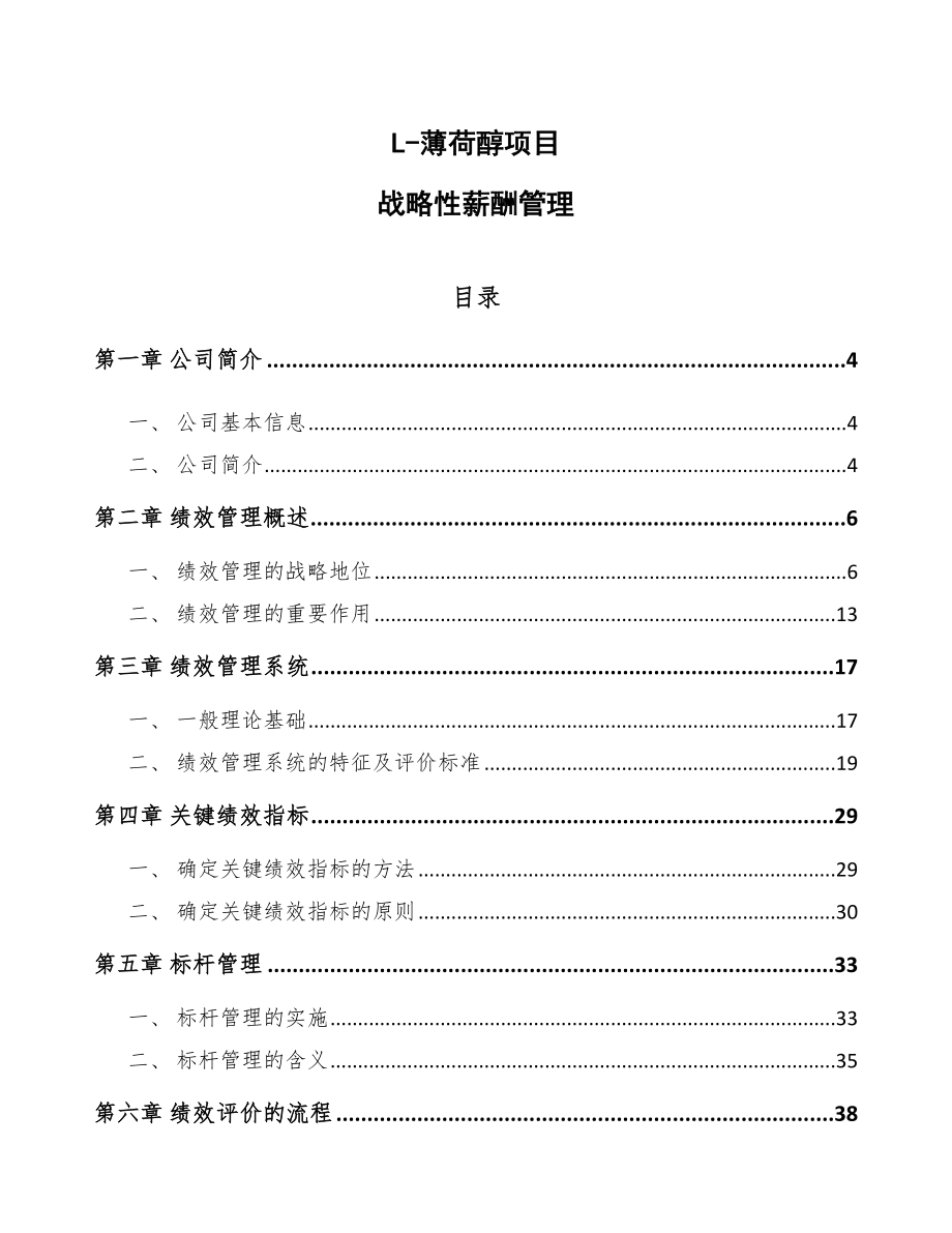 L-薄荷醇项目战略性薪酬管理_第1页