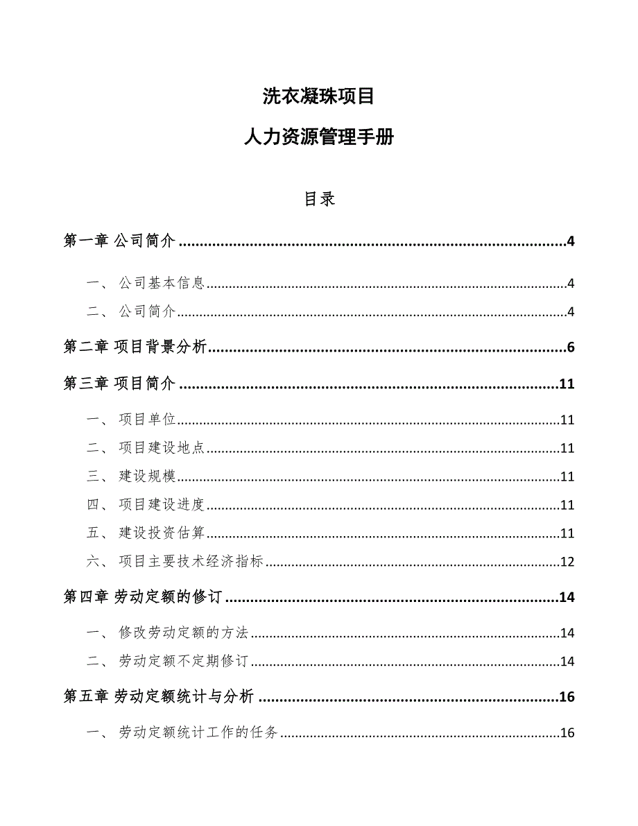 洗衣凝珠项目人力资源管理手册（模板）_第1页