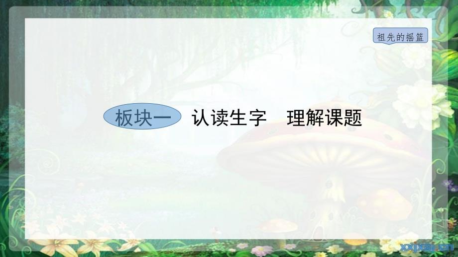 部编语文二年级下册第八单元《祖先的摇篮》ppt课件_第2页