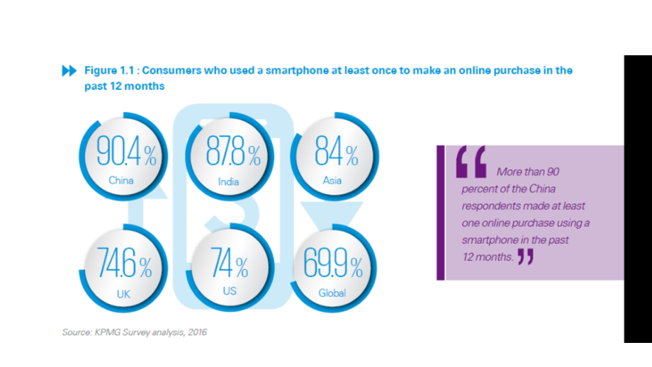 KPMG Slides for Carrefour France_第3页