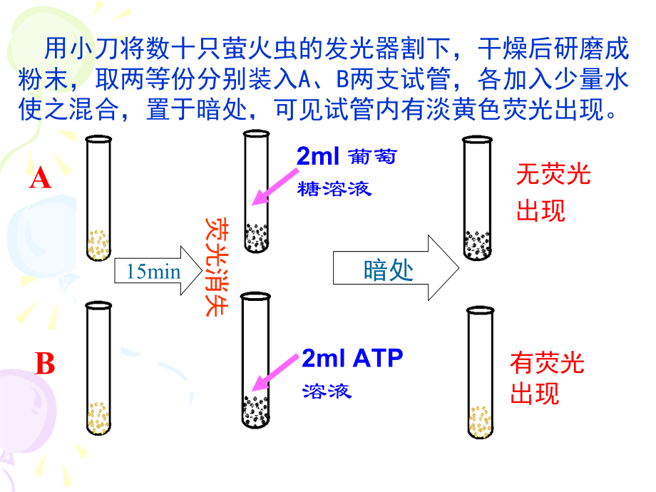 【高一理化生】52细胞的能量通货-ATP模版课件_第4页