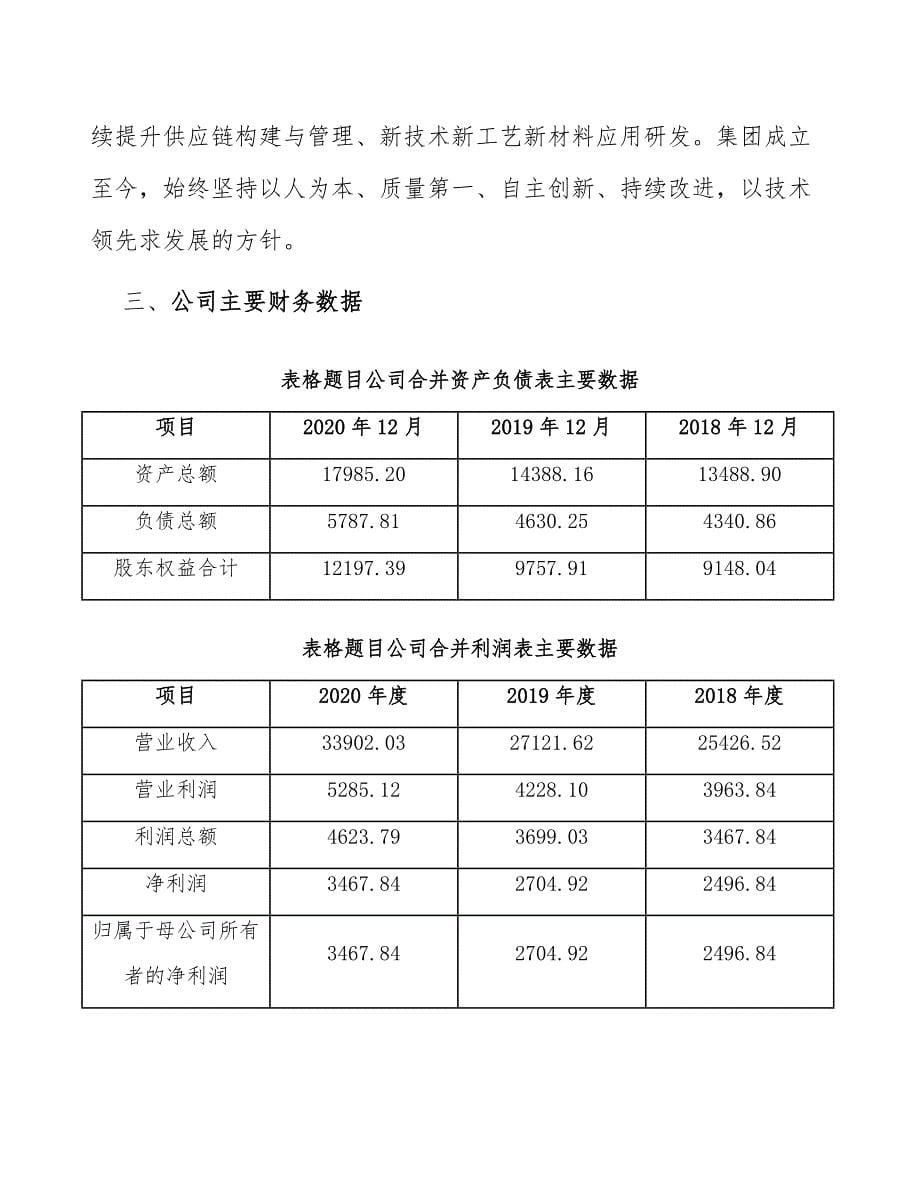 色素蛋白公司建设工程风险管理（范文）_第5页