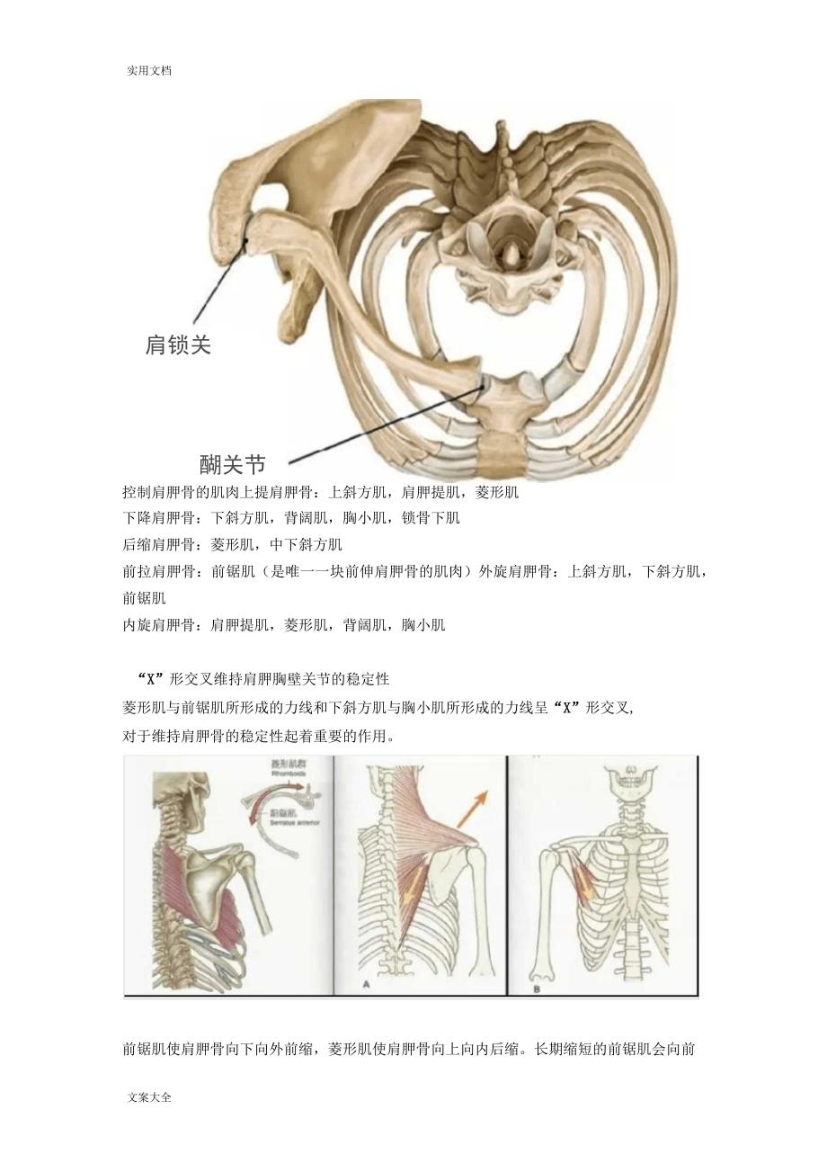 肩关节精彩活动受限治疗新思路_第4页