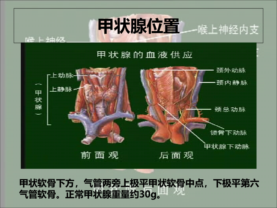 腔镜甲状腺术后病人的护理查房整理_第4页