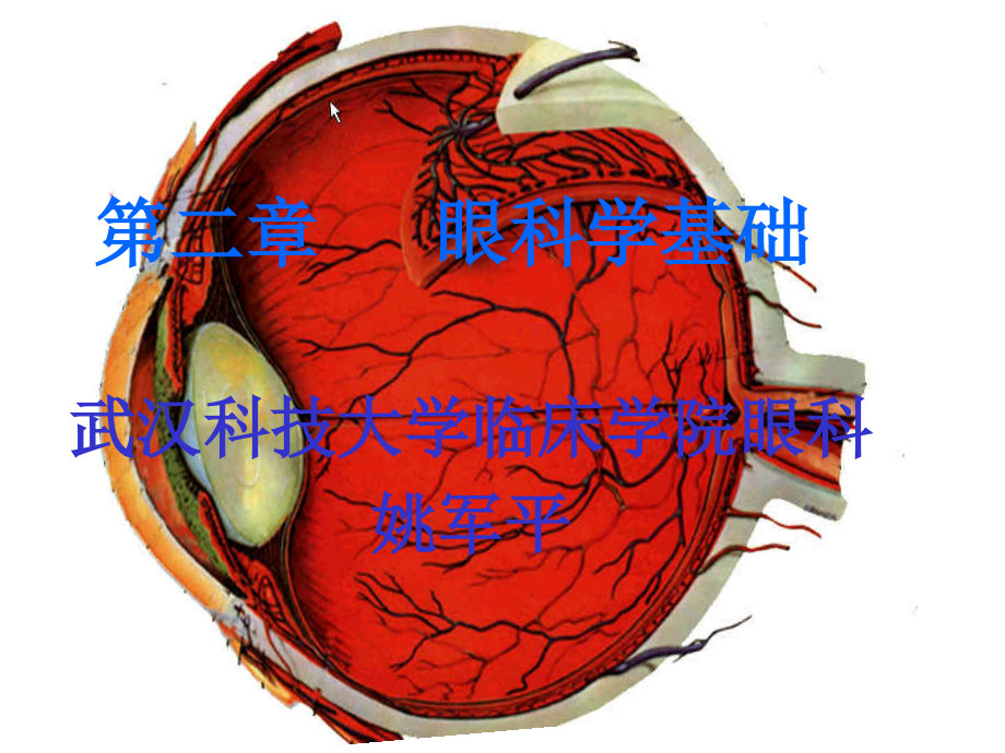 眼科学基础(本科)终稿_第1页