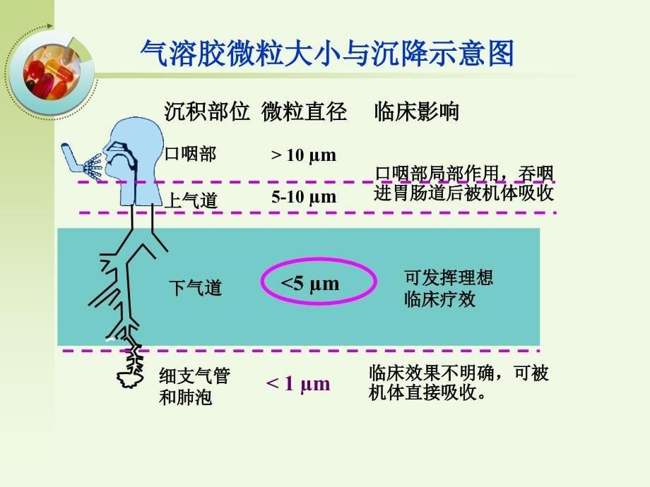 呼吸科吸入装置药物可用_第5页