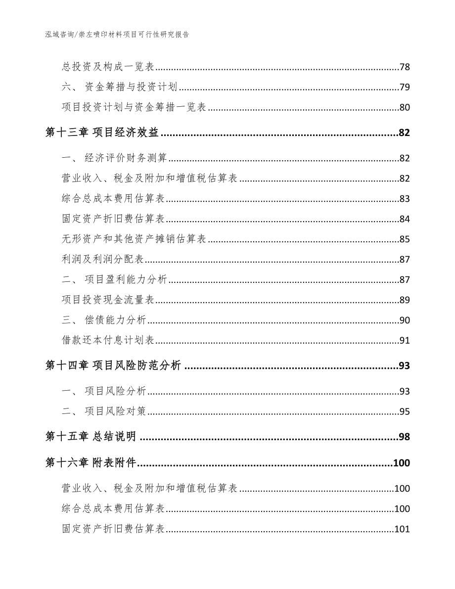 崇左喷印材料项目可行性研究报告模板参考_第5页