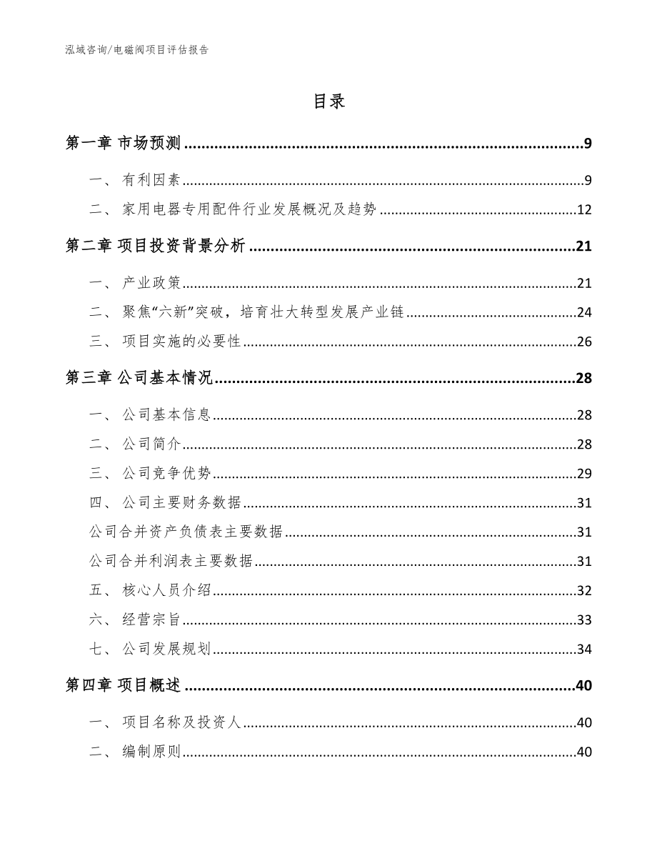 电磁阀项目评估报告参考模板_第1页