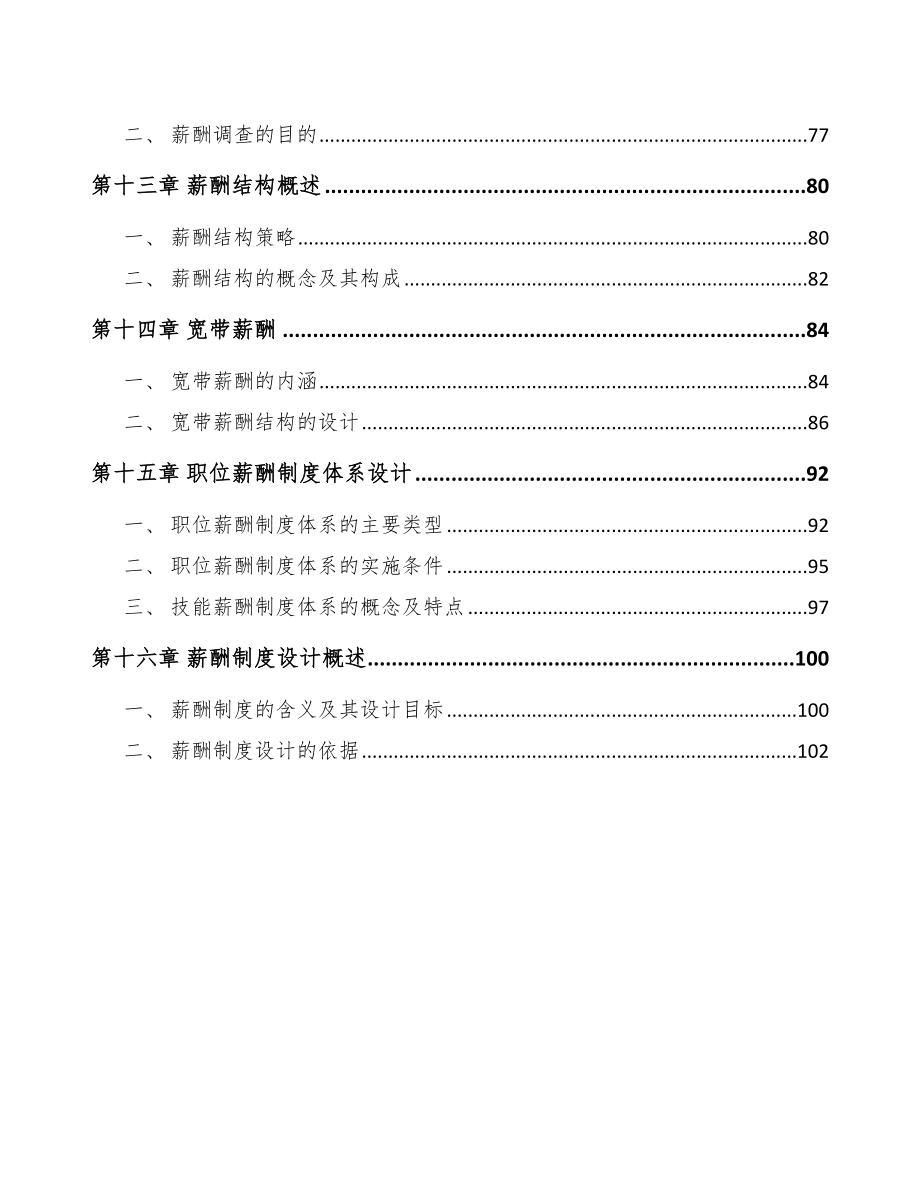 商用车项目战略性薪酬管理（模板）_第3页