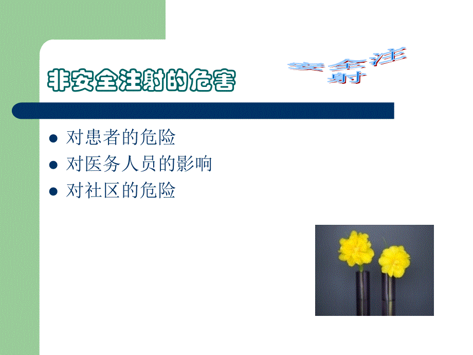 安全注射培训讲义(共61张)_第3页