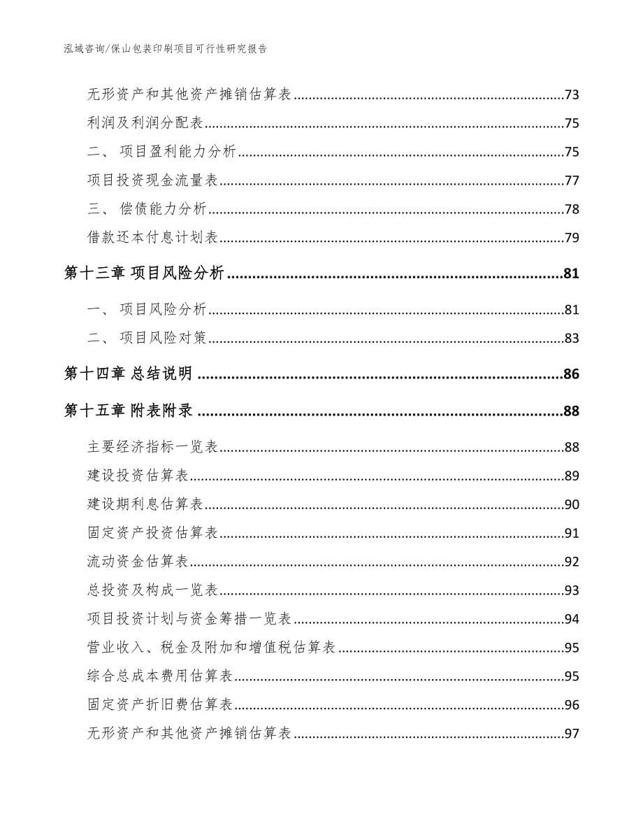 保山包装印刷项目可行性研究报告（参考范文）_第5页