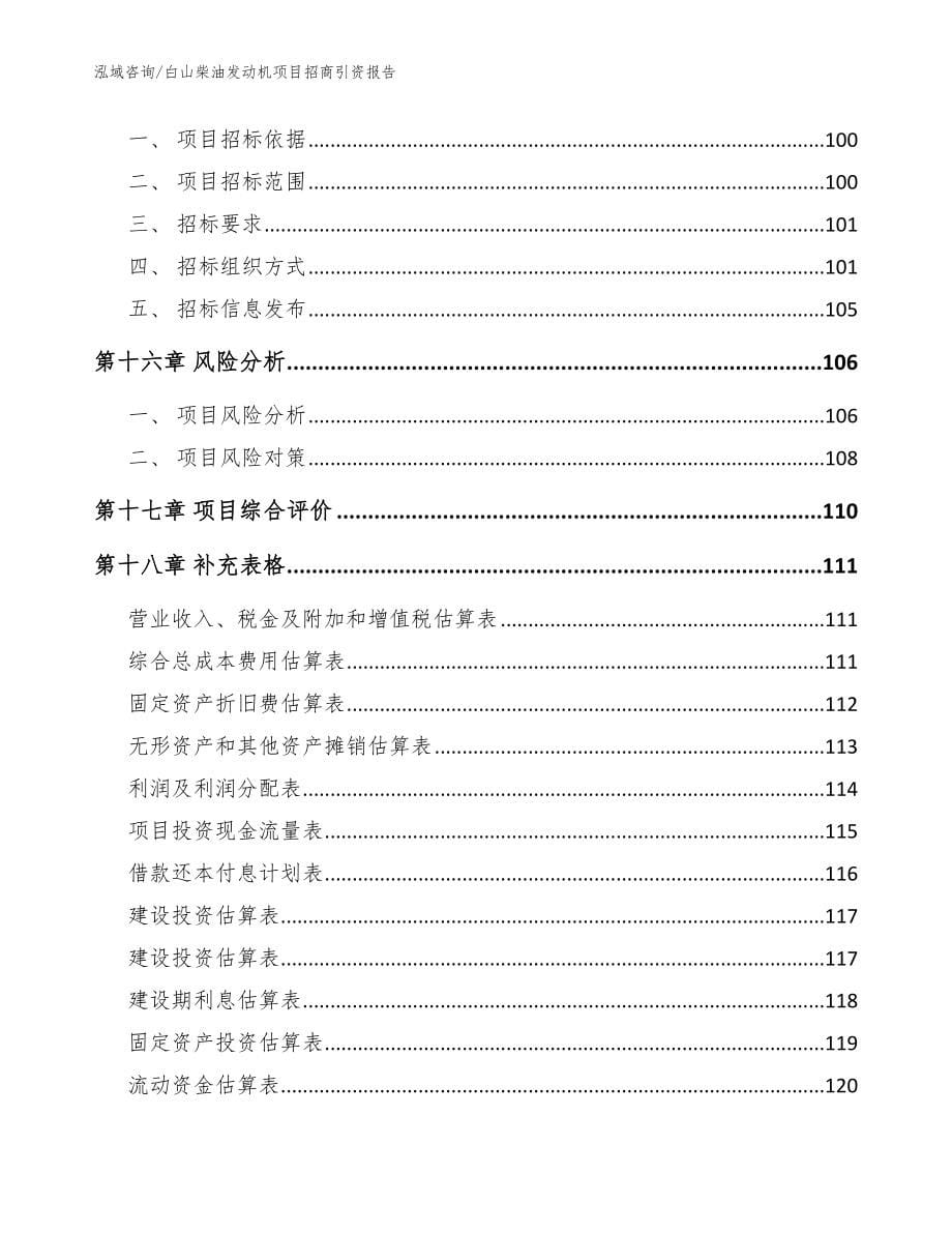 白山柴油发动机项目招商引资报告模板范本_第5页