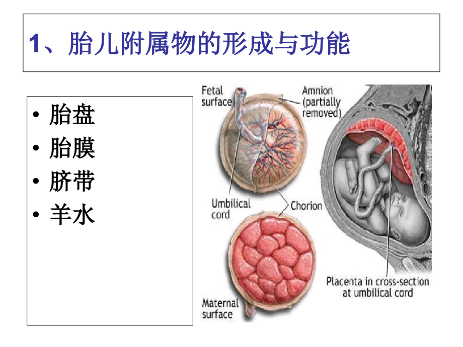 202X年护士执业资格证考试最新密卷_第4页