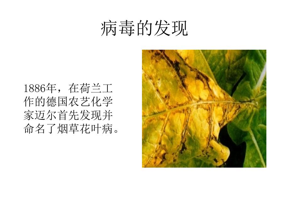 非细胞形态的生物—病毒课件_第3页