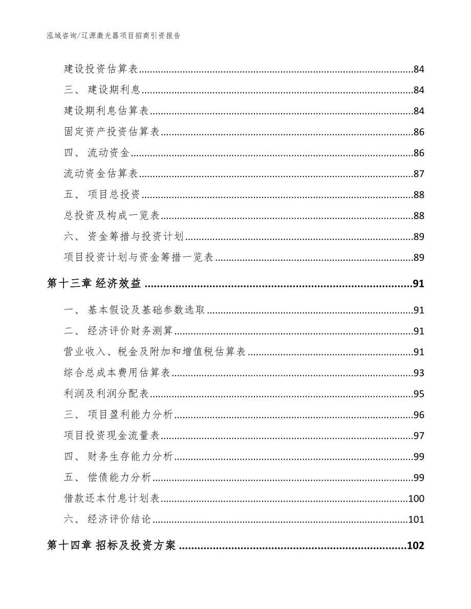 辽源激光器项目招商引资报告模板范本_第5页