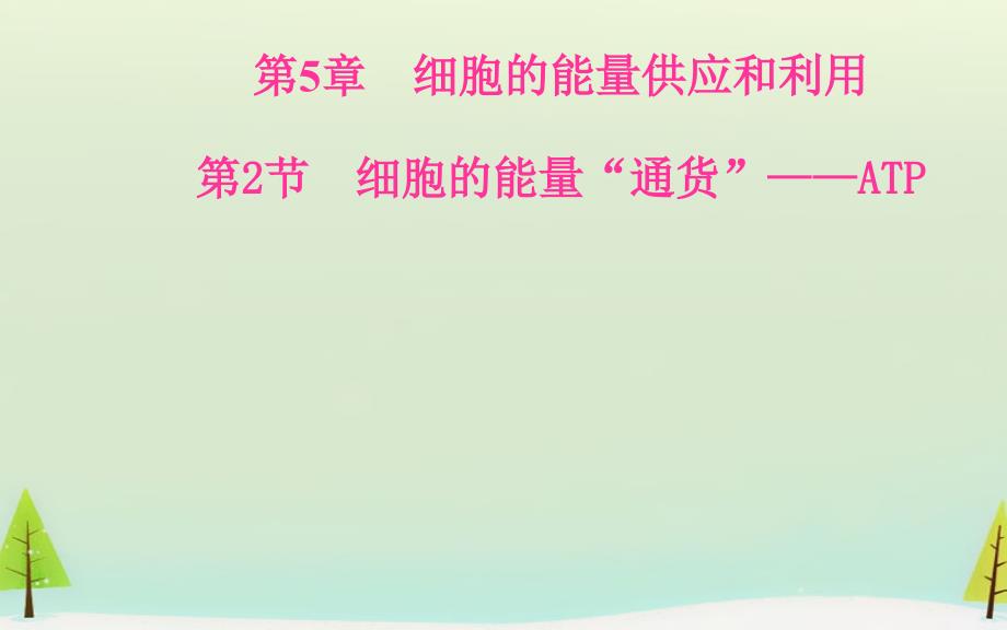 金学案高中生物 细胞的能量通货ATP通用课件 新人教必修_第2页