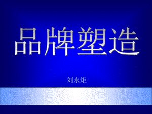 《市场总监培训教材》品牌塑造(PPT 173页)(1)