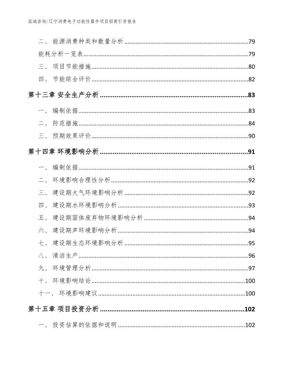辽宁消费电子功能性器件项目招商引资报告（模板）_第5页
