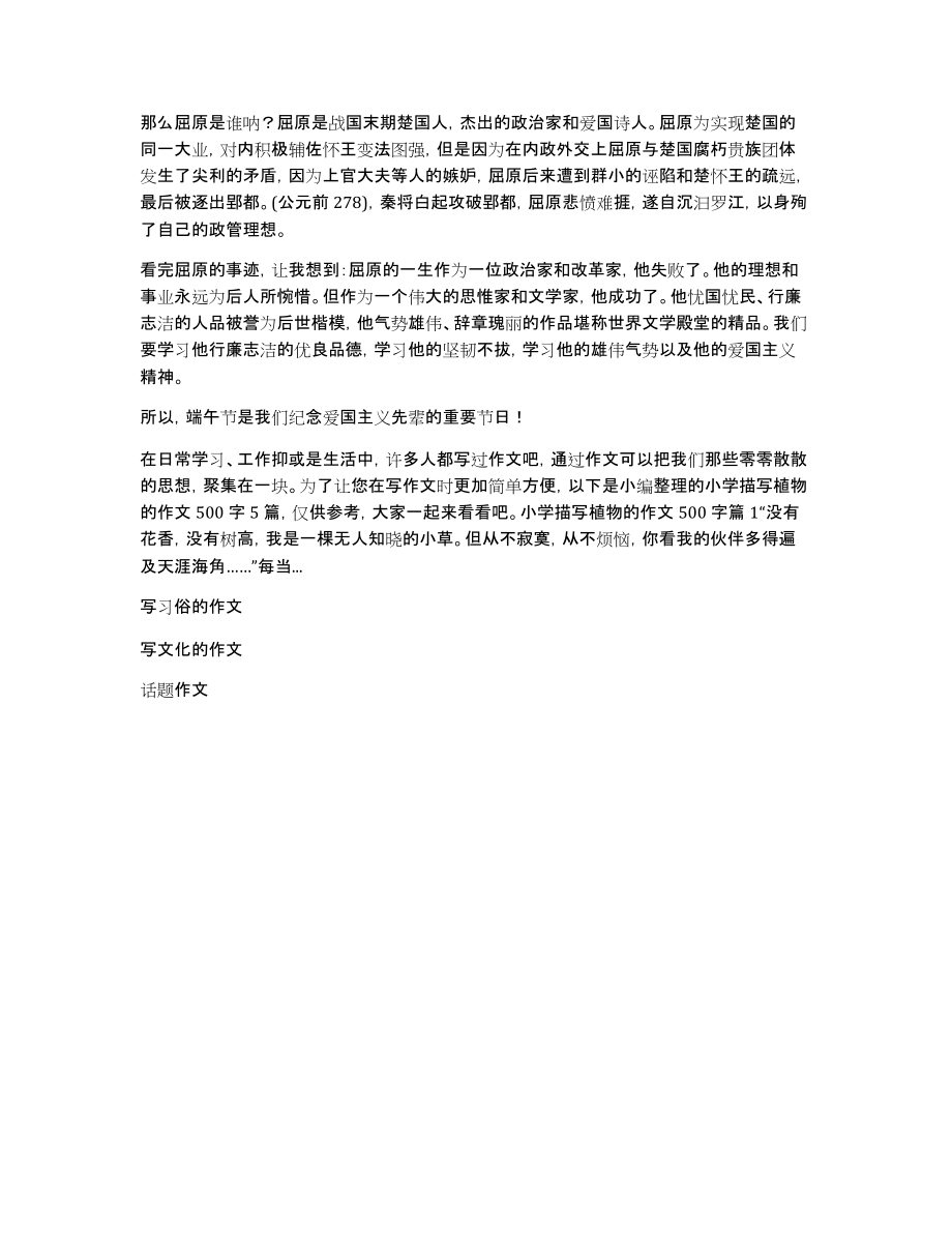 端午节的习俗作文300字汇编七篇_第4页