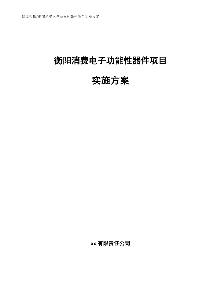 衡阳消费电子功能性器件项目实施方案【模板参考】_第1页