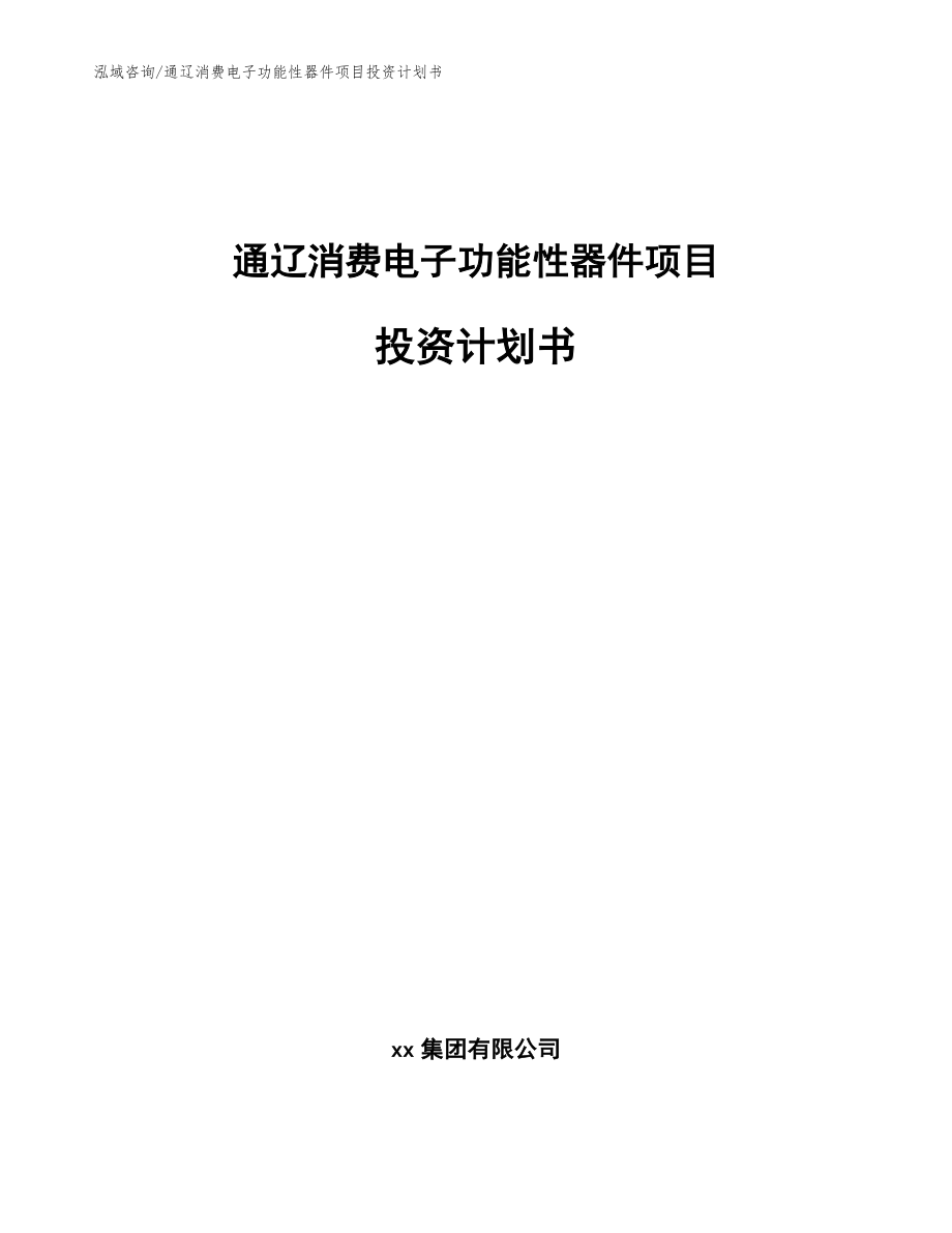 通辽消费电子功能性器件项目投资计划书（范文）_第1页