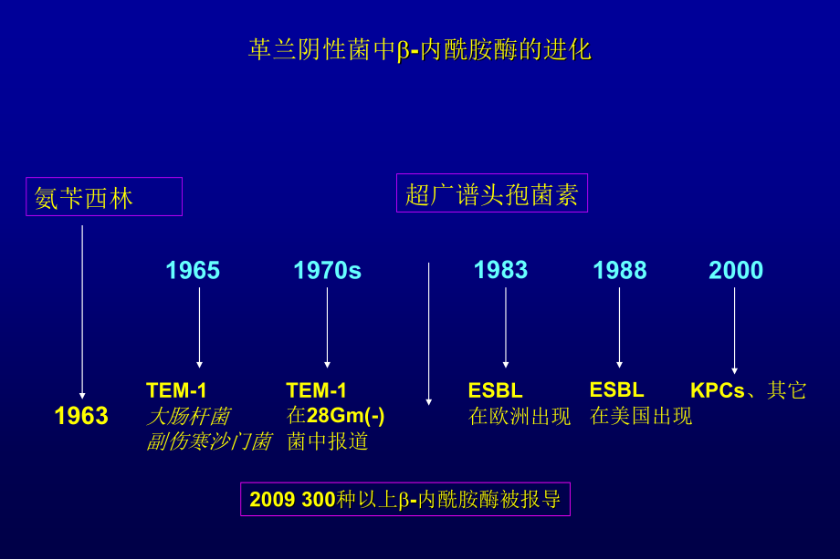 革兰氏阴性细菌抗生素耐药检测课件_第4页