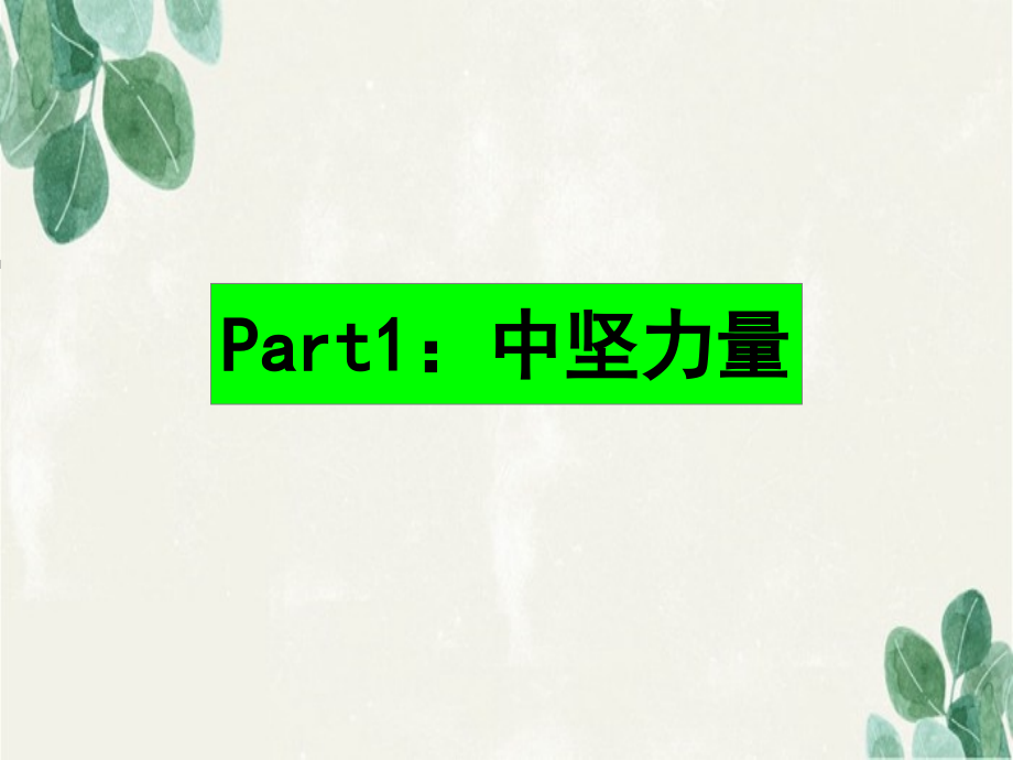 2008年沈阳金冠兴顺街项目推广提案_第3页