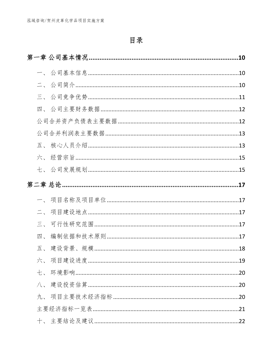 贺州皮革化学品项目实施方案（模板）_第2页