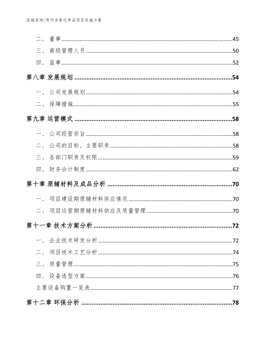 贺州皮革化学品项目实施方案（模板）_第4页