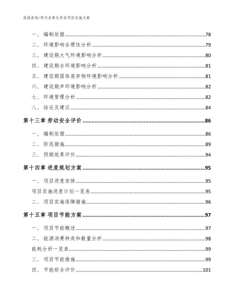 贺州皮革化学品项目实施方案（模板）_第5页