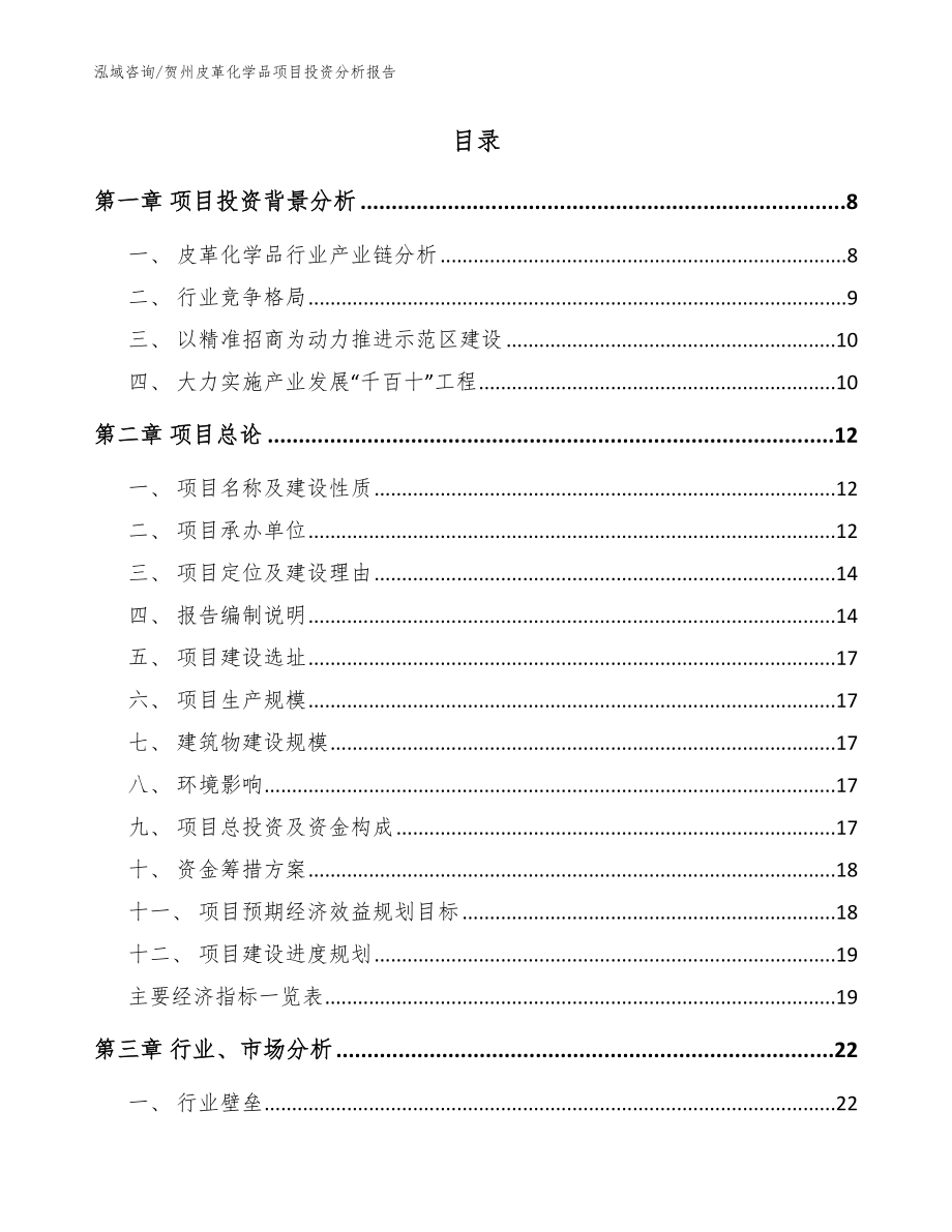 贺州皮革化学品项目投资分析报告模板参考_第2页