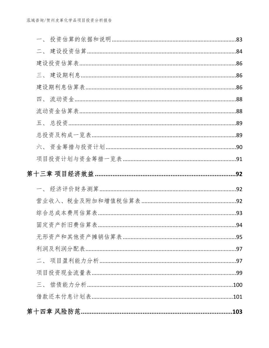 贺州皮革化学品项目投资分析报告模板参考_第5页