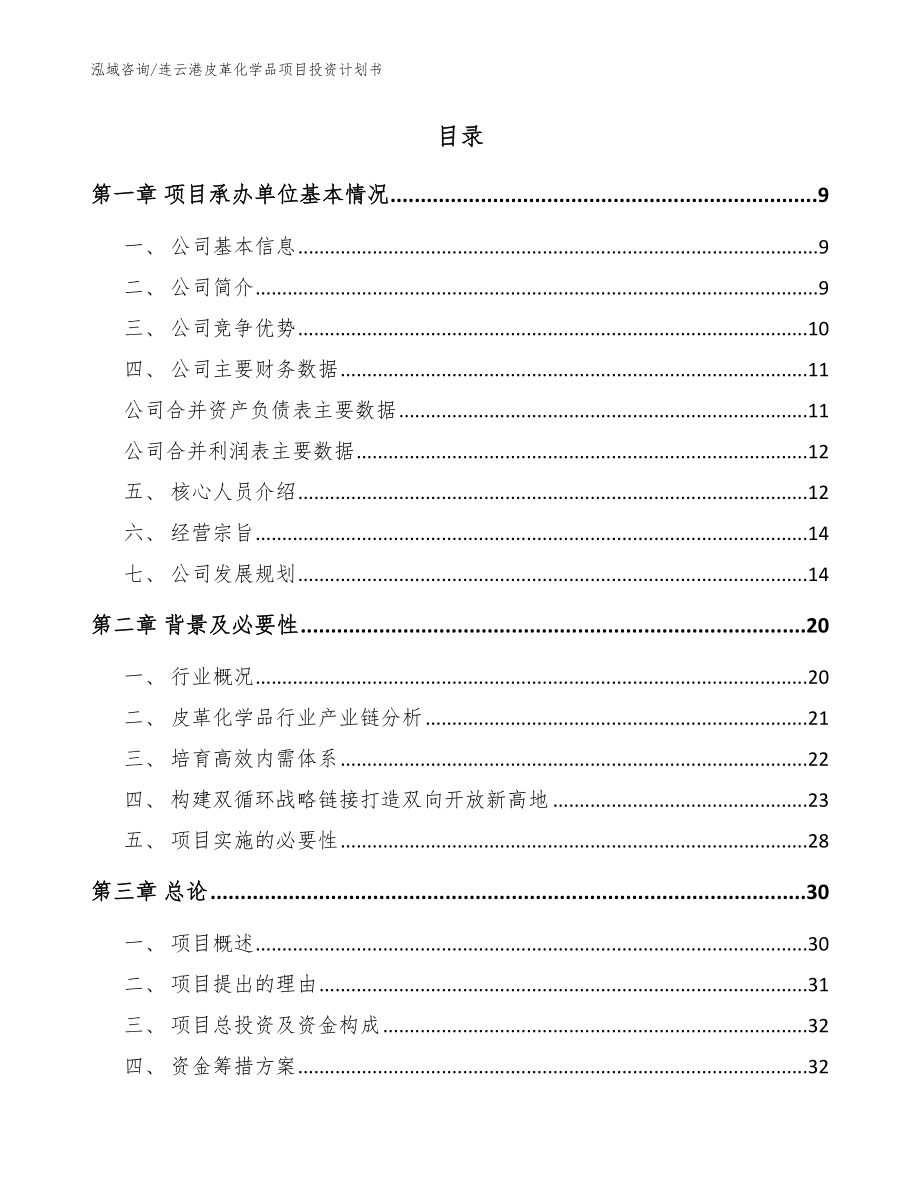 连云港皮革化学品项目投资计划书_范文_第2页