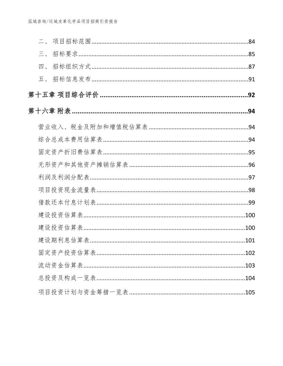 运城皮革化学品项目招商引资报告_模板范本_第5页