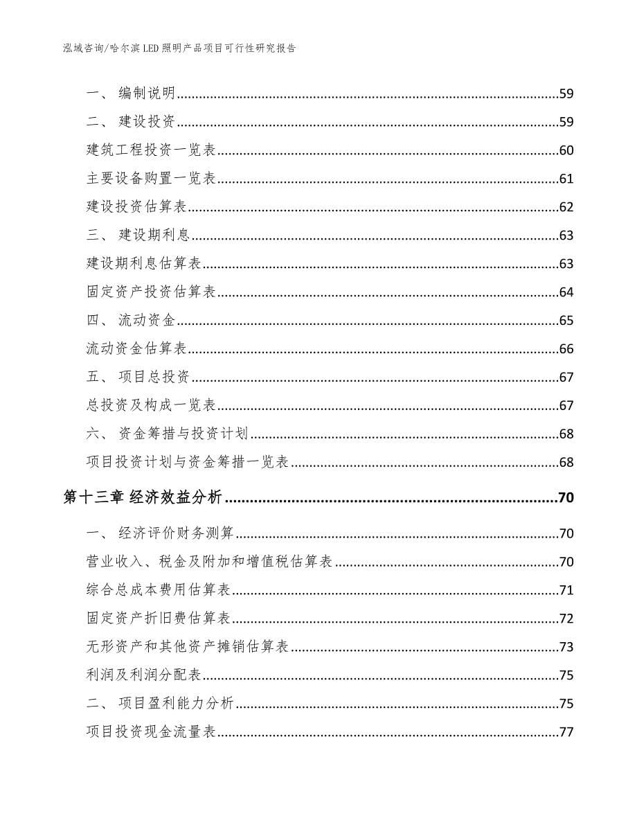 哈尔滨LED照明产品项目可行性研究报告【模板范文】_第5页