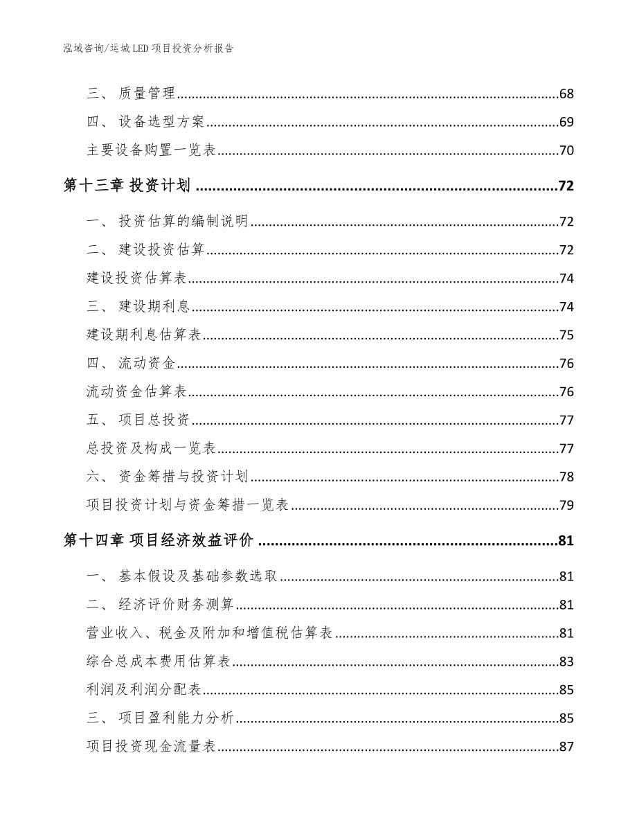 运城LED项目投资分析报告（模板参考）_第5页