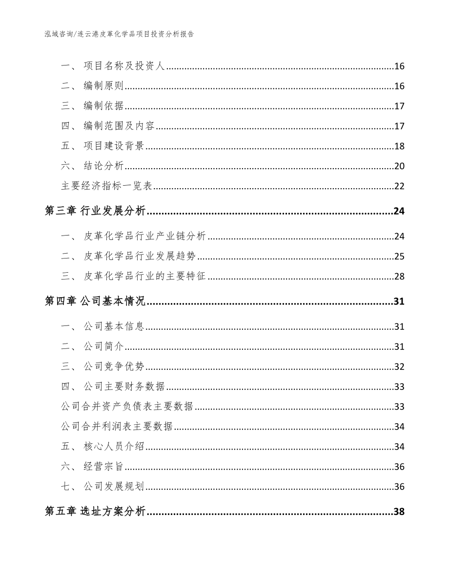 连云港皮革化学品项目投资分析报告【模板】_第4页