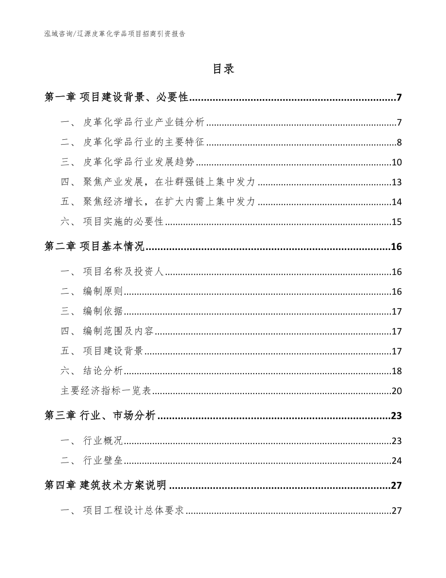 辽源皮革化学品项目招商引资报告（范文参考）_第1页