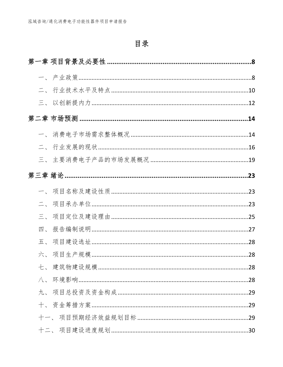 通化消费电子功能性器件项目申请报告（参考范文）_第1页