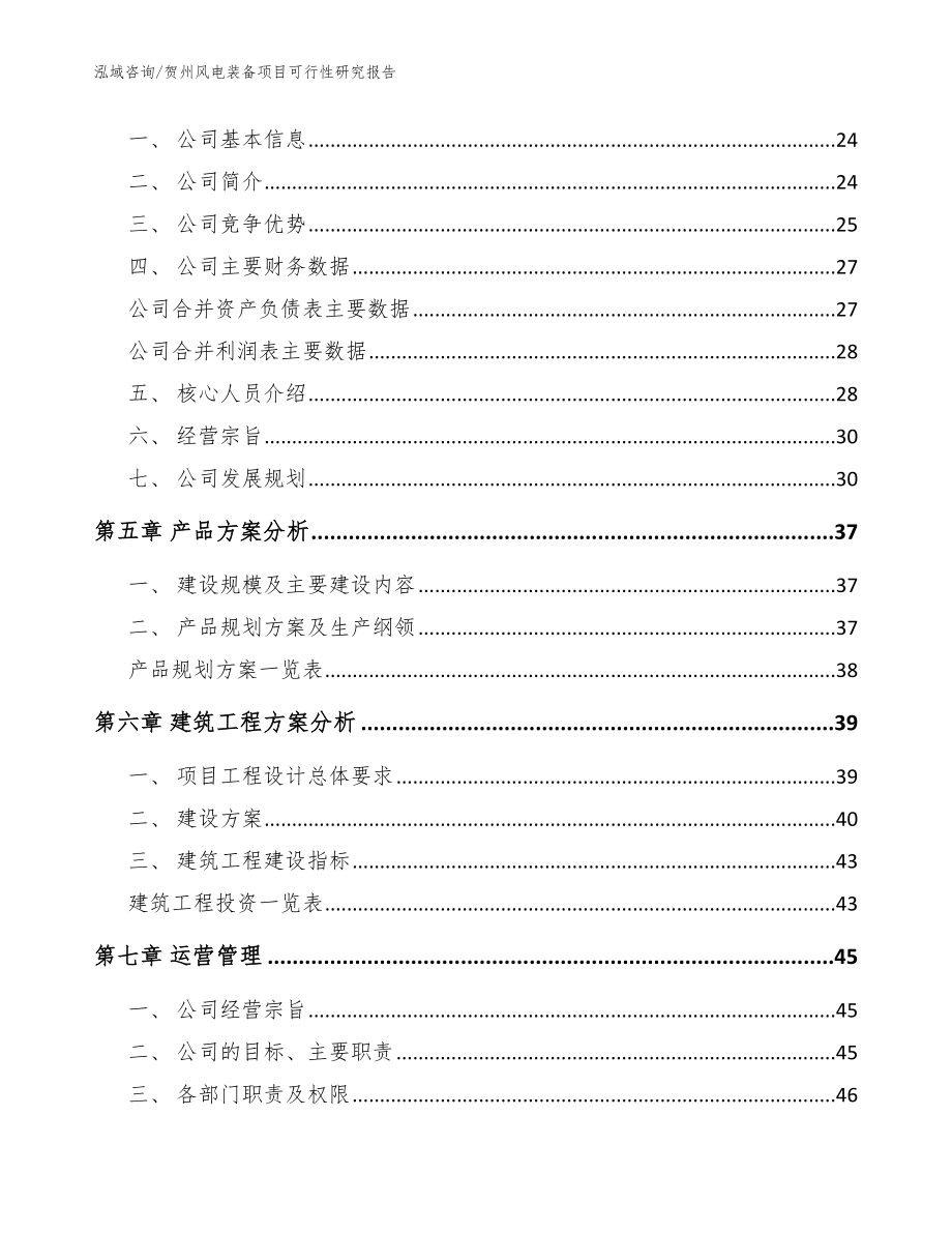 贺州风电装备项目可行性研究报告（参考范文）_第3页