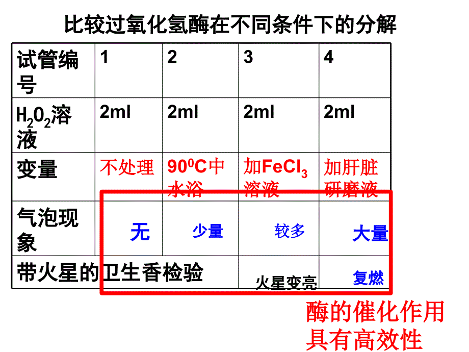 降低化学反应活化能的酶(第2课时)_第4页