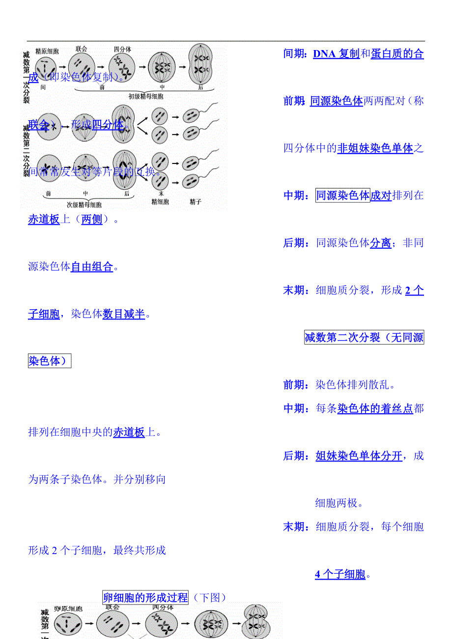 2022年高考生物总复习人教版必修2全册基础知识复习清单（精华版）_第4页