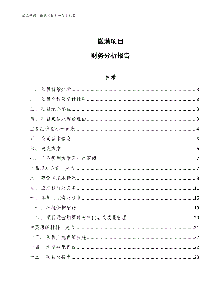 微藻项目财务分析报告（模板）_第1页