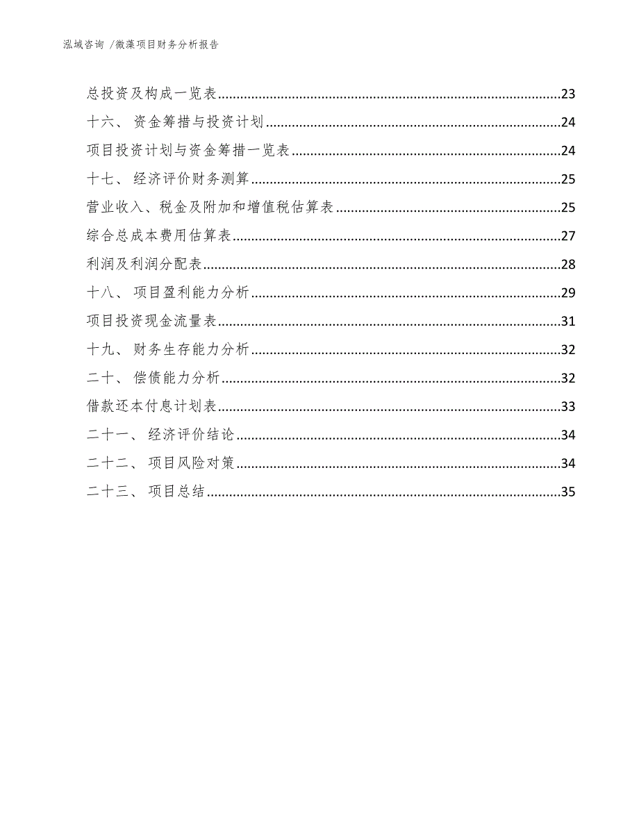 微藻项目财务分析报告（模板）_第2页